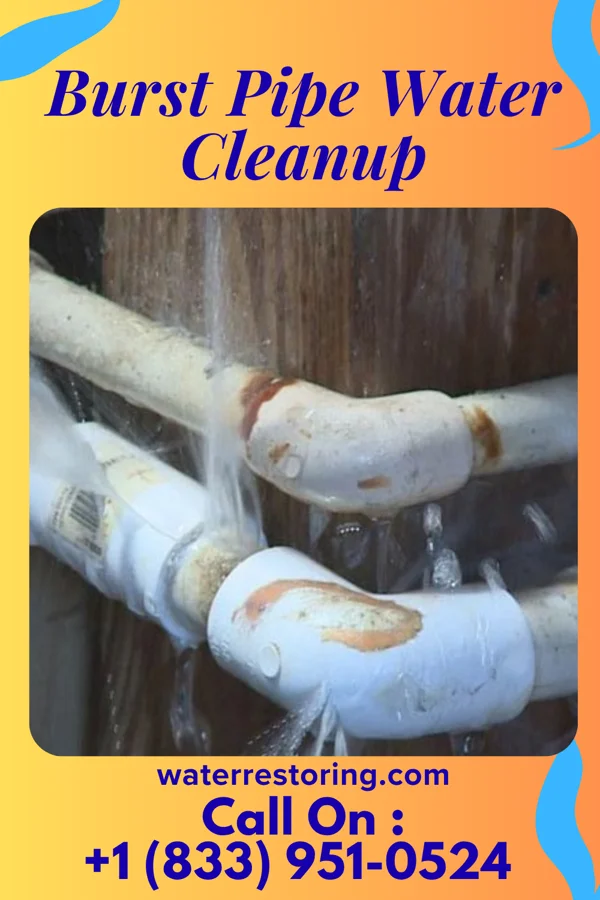 Burst Pipe Water Cleanup in Wolcottville, IN
