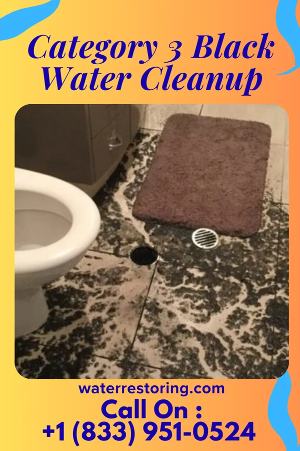 Category 3 Black Water Cleanup in Wolcottville, IN