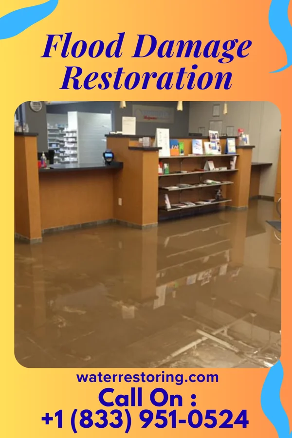 Flood Damage Restoration in Wolcottville, IN