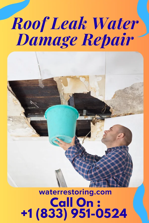 Roof Leak Water Damage Repair in Wolcottville, IN