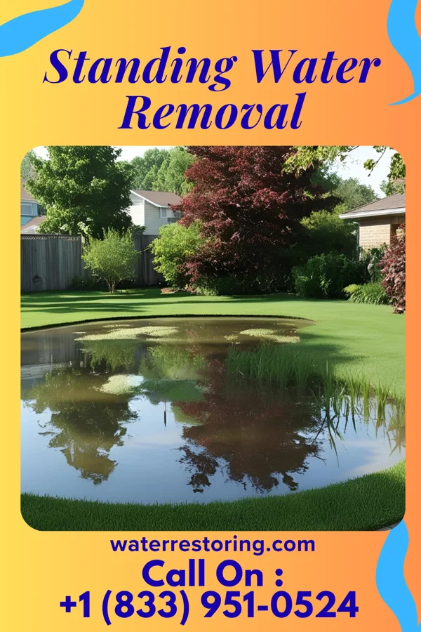 Standing Water Removal in Wolcottville, IN